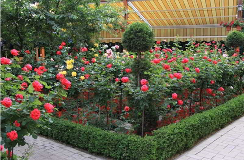 בוקרשט Marshal Hotel מראה חיצוני תמונה